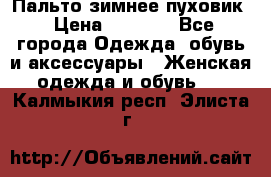 Пальто зимнее пуховик › Цена ­ 2 500 - Все города Одежда, обувь и аксессуары » Женская одежда и обувь   . Калмыкия респ.,Элиста г.